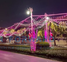 ภาพตัวอย่างลักษณะงาน: เสาริมถนนตกแต่งไฟสีชมพู พร้อมสายไฟประดับสีขาวและทอง