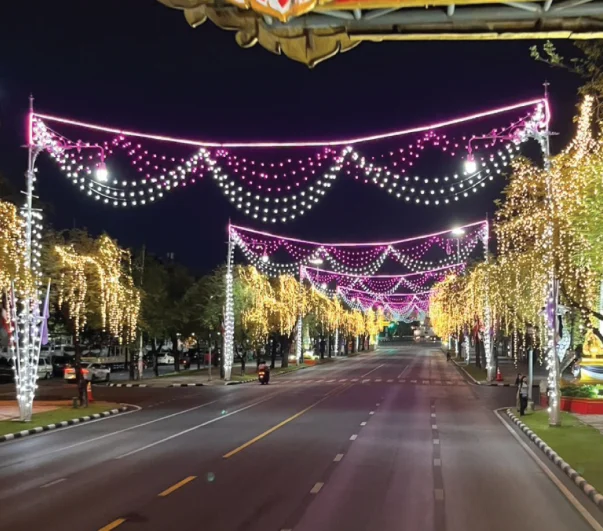 ภาพตัวอย่างลักษณะงาน: สายไฟประดับสีชมพูและขาวทอดคร่อมถนนหลายช่วง พร้อมไฟสีทองห้อยบนต้นไม้สองข้างทาง
